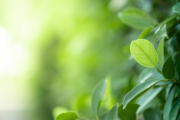 【活接头的安装方法视频,管活接头的安装方法】