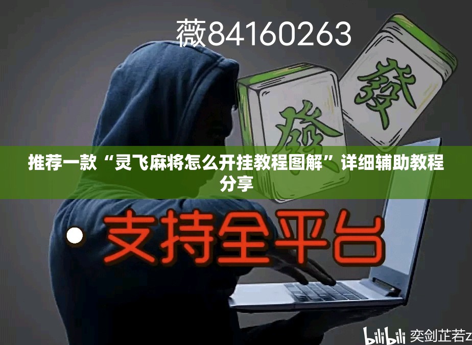 推荐一款“灵飞麻将怎么开挂教程图解”详细辅助教程分享