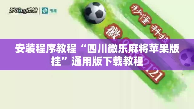 安装程序教程“四川微乐麻将苹果版挂	”通用版下载教程