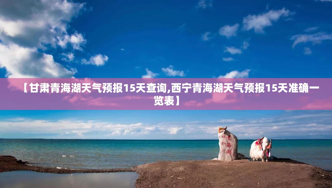 中国二手设备转让网(二手设备转让信息)