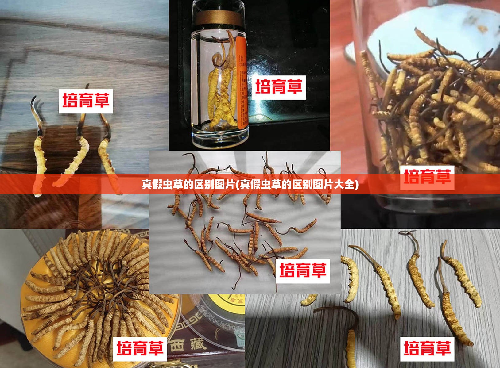 玩家辅助神器“麻将软件开挂免费版”开挂(透视)辅助教程