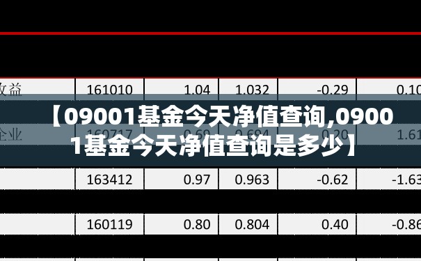 【09001基金今天净值查询,09001基金今天净值查询是多少】
