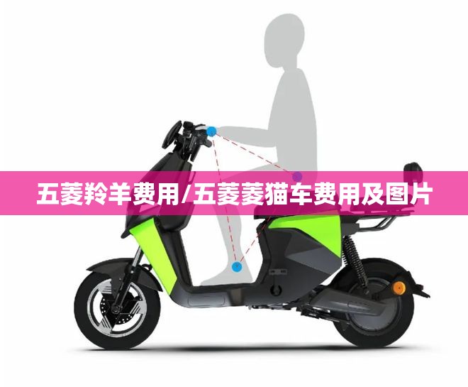 五菱羚羊费用/五菱菱猫车费用及图片