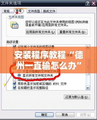 安装程序教程“德州一直输怎么办”2026开挂教程步骤