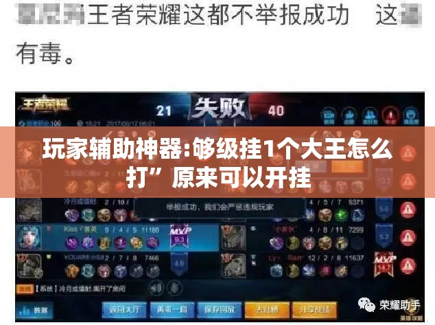 玩家辅助神器:够级挂1个大王怎么打”原来可以开挂