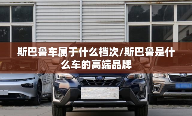 【风驰电掣是什么生肖,风驰电掣是什么生肖最精准?】 【风驰电掣是什么生肖,风驰电掣是什么生肖最精准?】