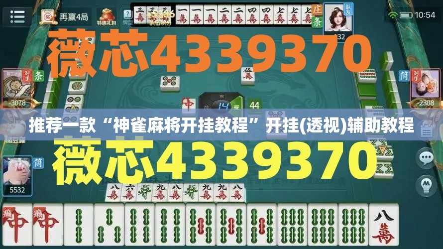 推荐一款“神雀麻将开挂教程”开挂(透视)辅助教程