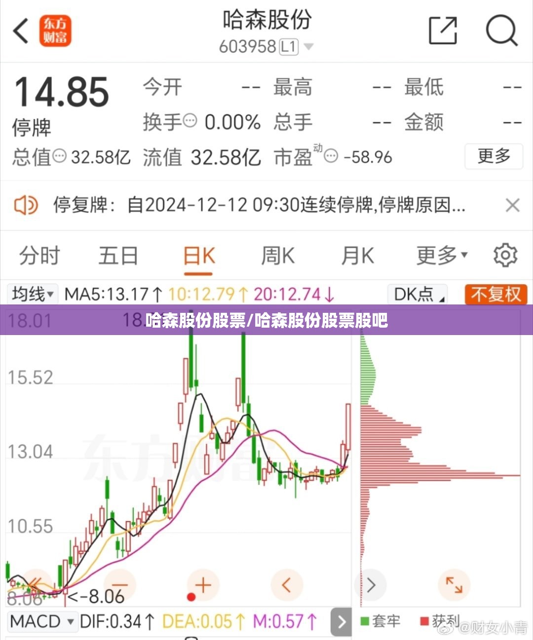 哈森股份股票/哈森股份股票股吧