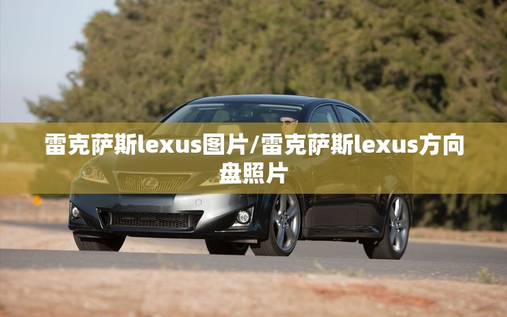 雷克萨斯lexus图片/雷克萨斯lexus方向盘照片