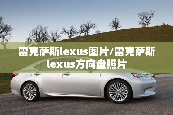 雷克萨斯lexus图片/雷克萨斯lexus方向盘照片
