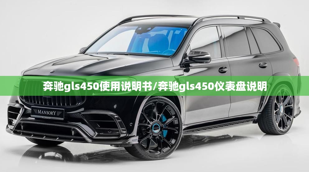 奔驰gls450使用说明书/奔驰gls450仪表盘说明
