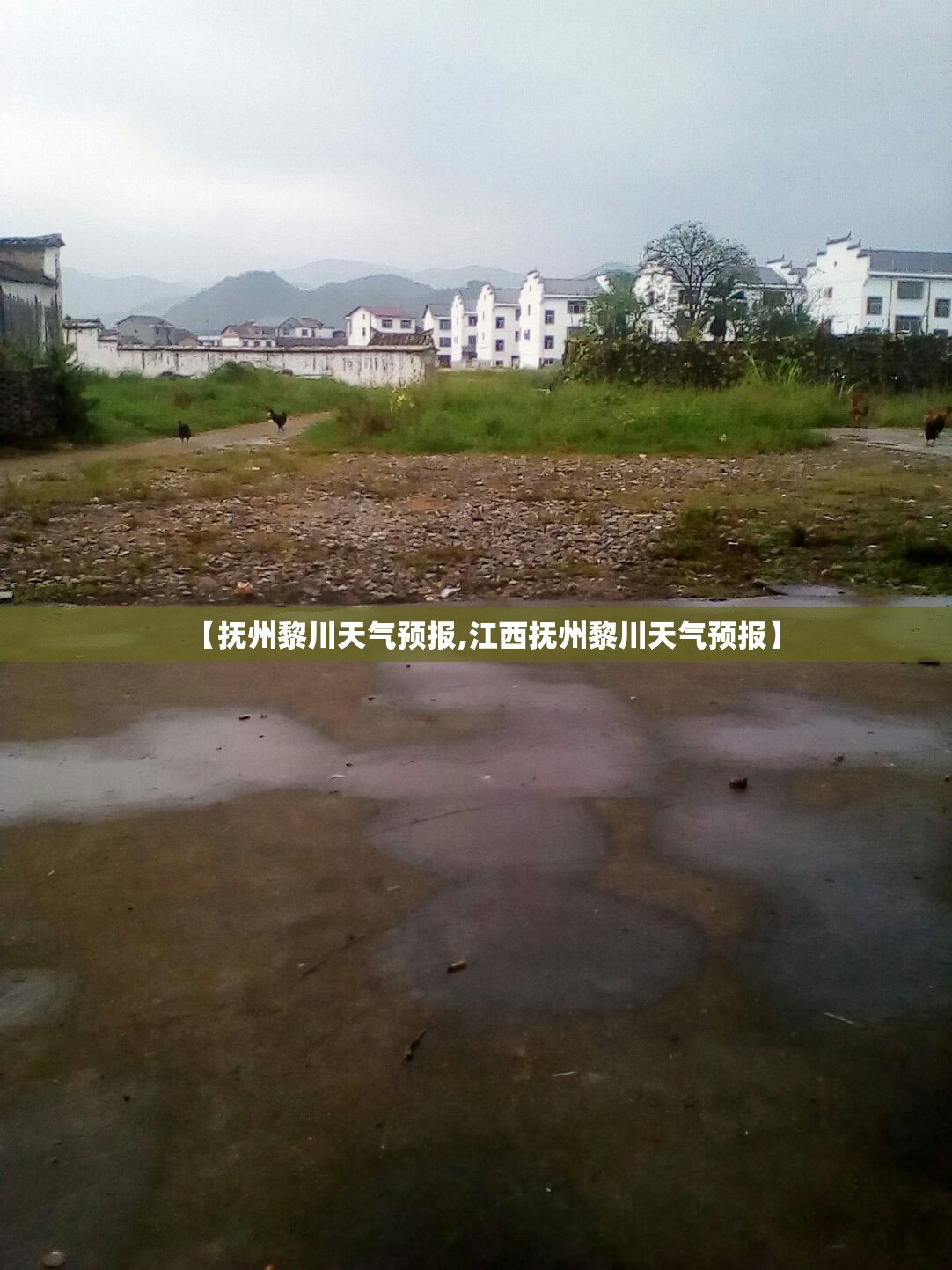 【抚州黎川天气预报,江西抚州黎川天气预报】