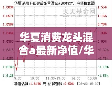 华夏消费龙头混合a最新净值/华夏消费龙头混合a最新净值是多少
