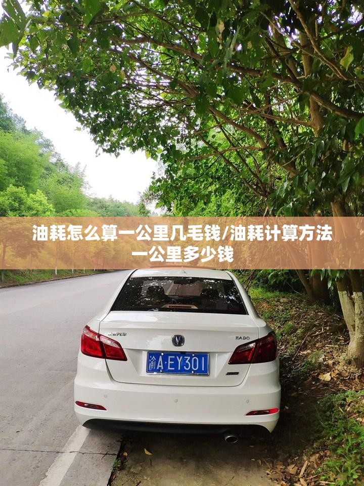 油耗怎么算一公里几毛钱/油耗计算方法一公里多少钱