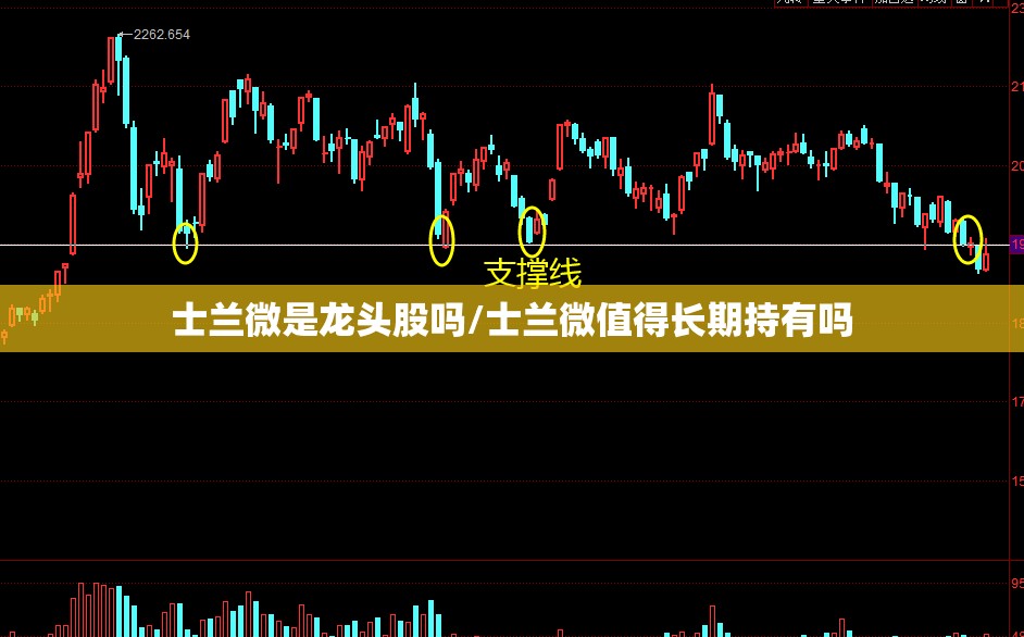 士兰微是龙头股吗/士兰微值得长期持有吗