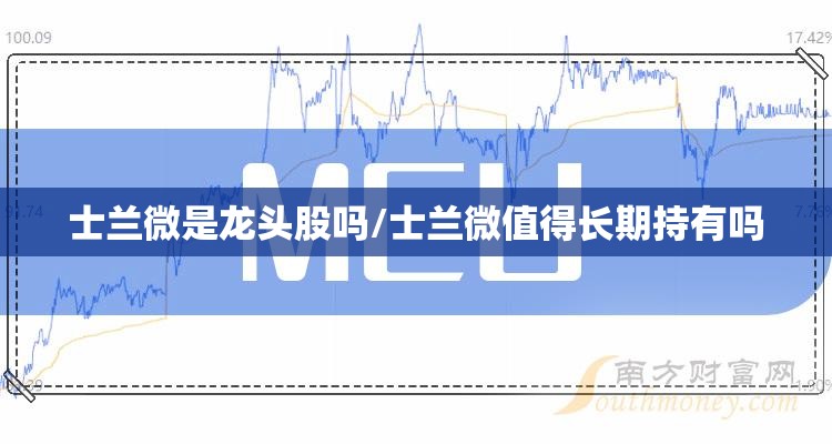 士兰微是龙头股吗/士兰微值得长期持有吗