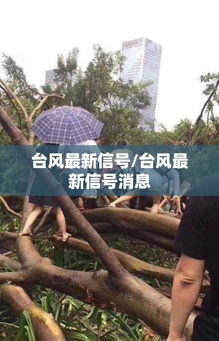 台风最新信号/台风最新信号消息 台风最新信号/台风最新信号消息