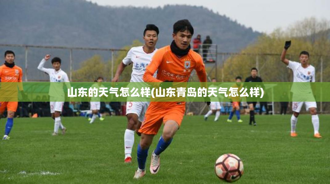 山东的天气怎么样(山东青岛的天气怎么样)