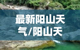 最新阳山天气/阳山天气实时查询