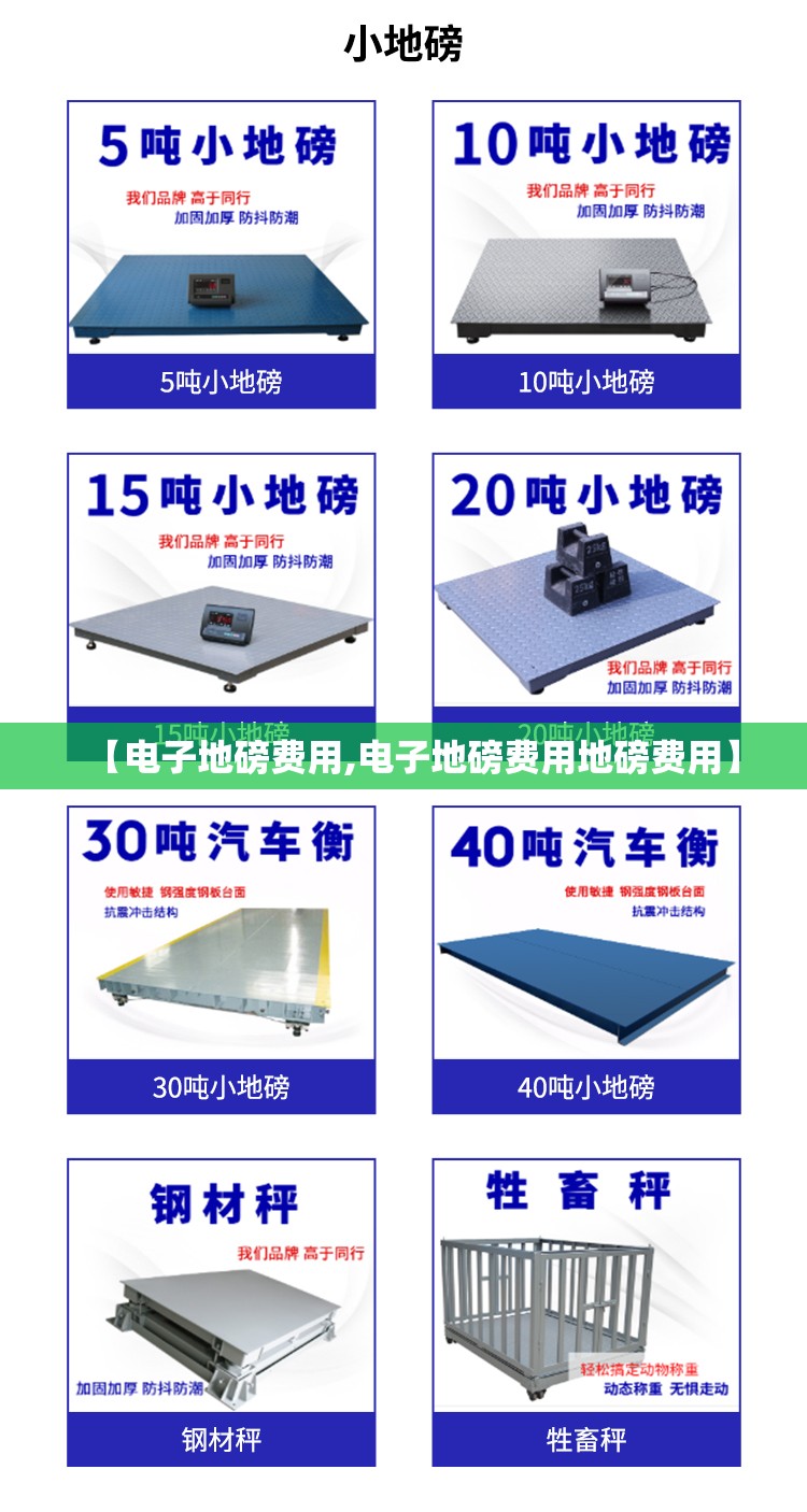 【电子地磅费用,电子地磅费用地磅费用】