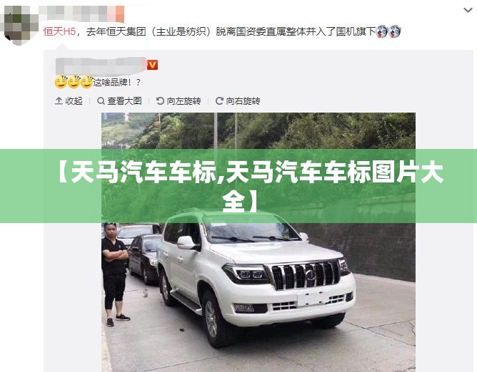 【天马汽车车标,天马汽车车标图片大全】