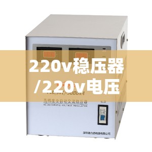 220v稳压器/220v电压增压器