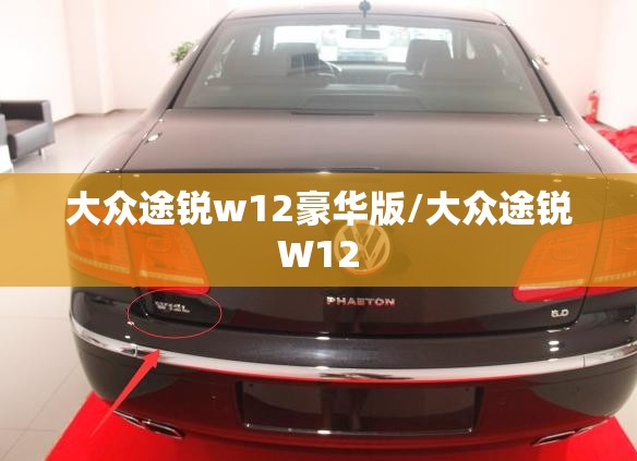 大众途锐w12豪华版/大众途锐W12