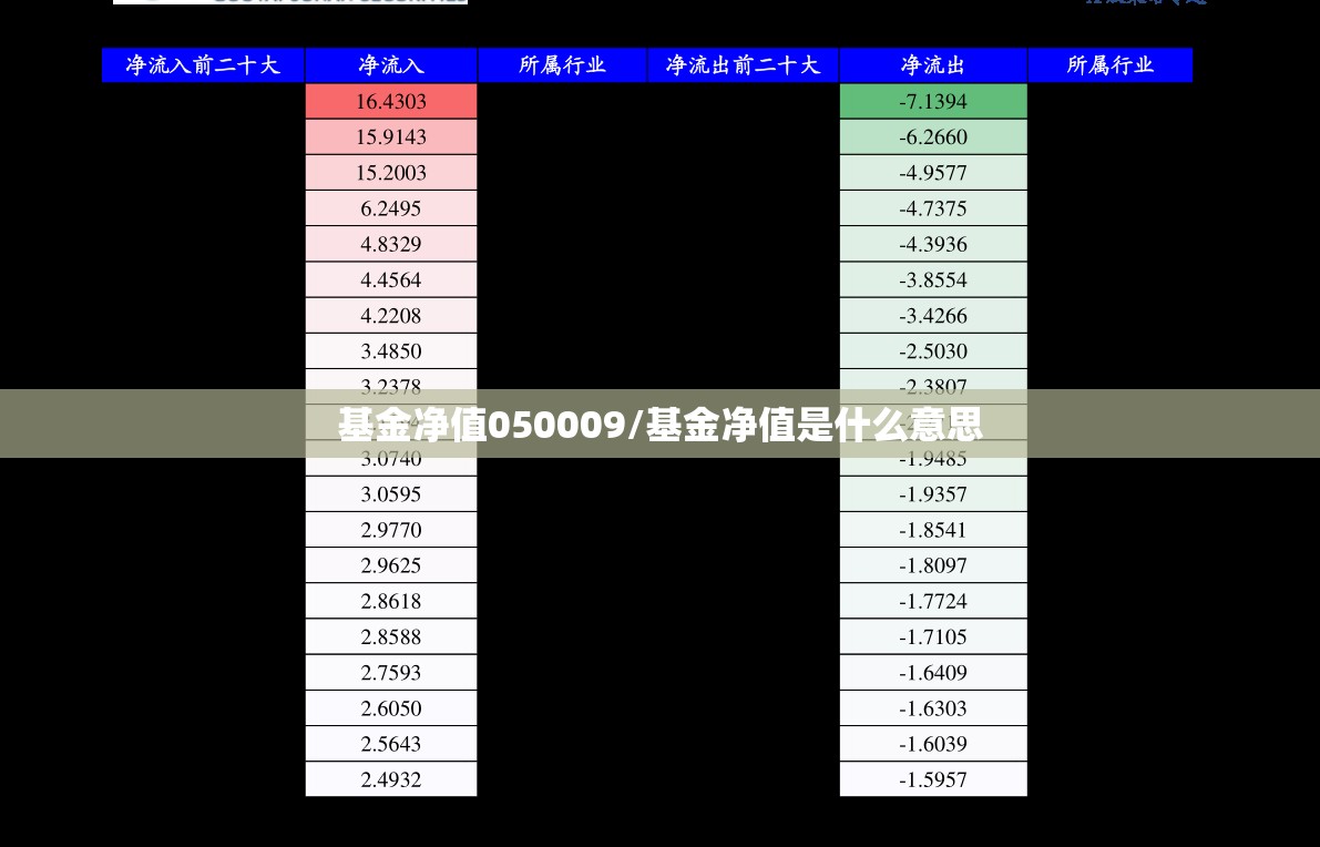 基金净值050009/基金净值是什么意思