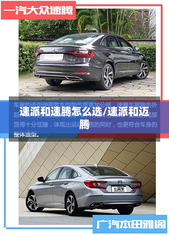 速派和速腾怎么选/速派和迈腾