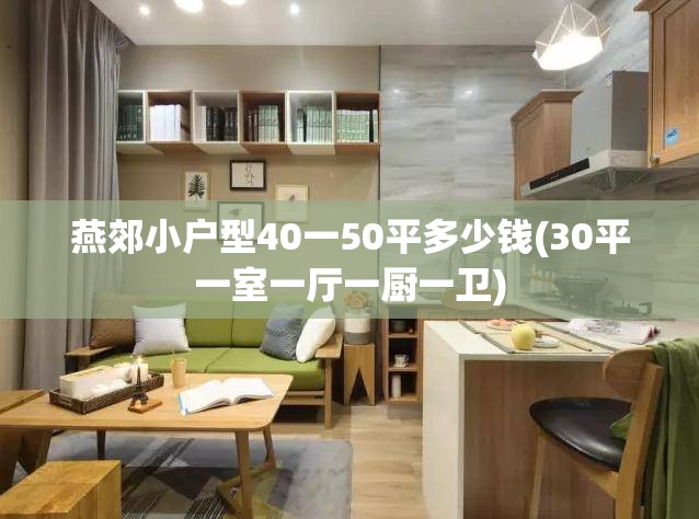 燕郊小户型40一50平多少钱(30平一室一厅一厨一卫) 燕郊小户型40一50平多少钱(30平一室一厅一厨一卫)