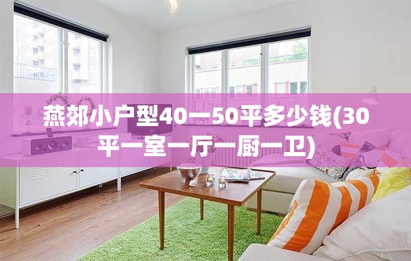 燕郊小户型40一50平多少钱(30平一室一厅一厨一卫) 燕郊小户型40一50平多少钱(30平一室一厅一厨一卫)
