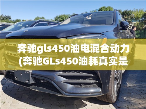 奔驰gls450油电混合动力(奔驰GLs450油耗真实是多少)