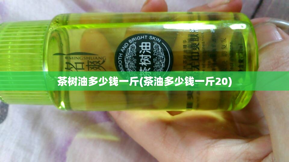 茶树油多少钱一斤(茶油多少钱一斤20)