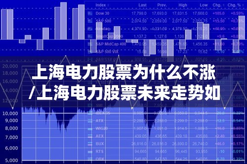 上海电力股票为什么不涨/上海电力股票未来走势如何