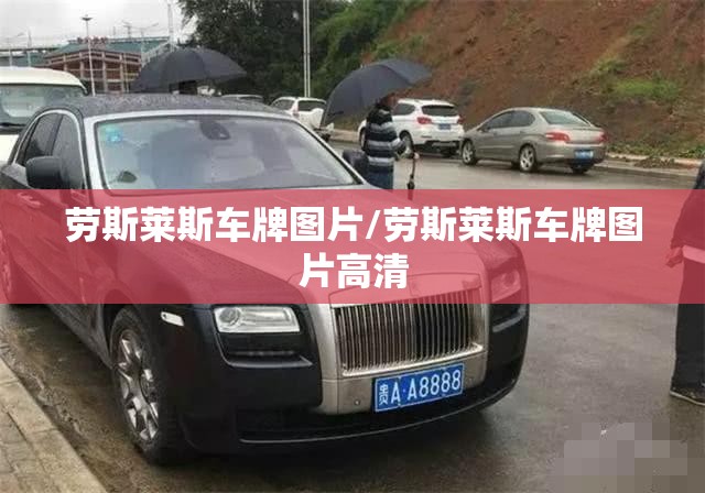 劳斯莱斯车牌图片/劳斯莱斯车牌图片高清 劳斯莱斯车牌图片/劳斯莱斯车牌图片高清