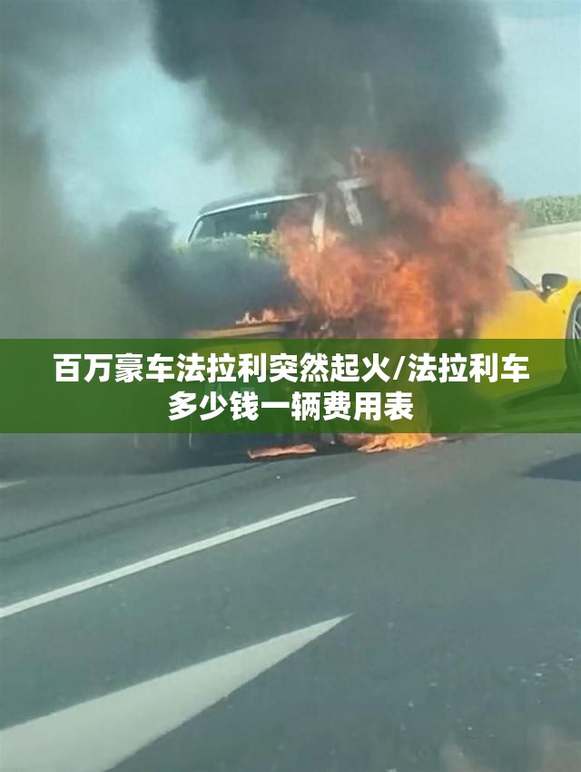 百万豪车法拉利突然起火/法拉利车多少钱一辆费用表