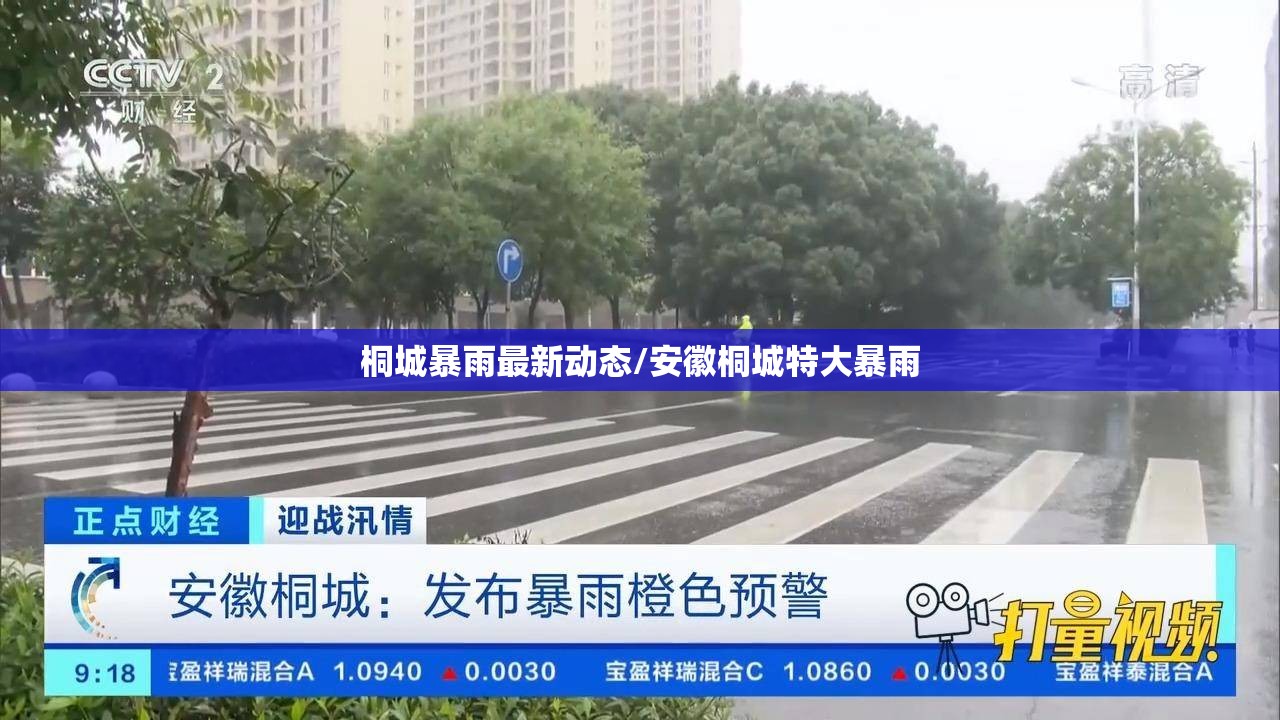 桐城暴雨最新动态/安徽桐城特大暴雨