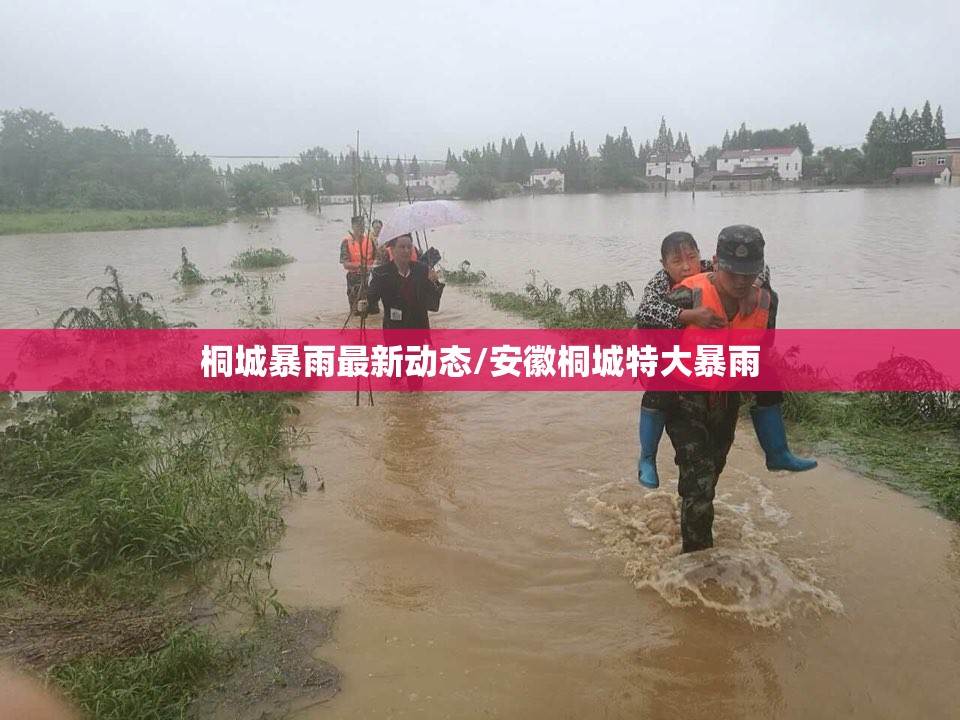 桐城暴雨最新动态/安徽桐城特大暴雨