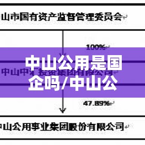 中山公用是国企吗/中山公用能源发展有限公司是国企吗