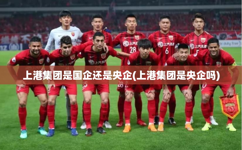 上港集团是国企还是央企(上港集团是央企吗)