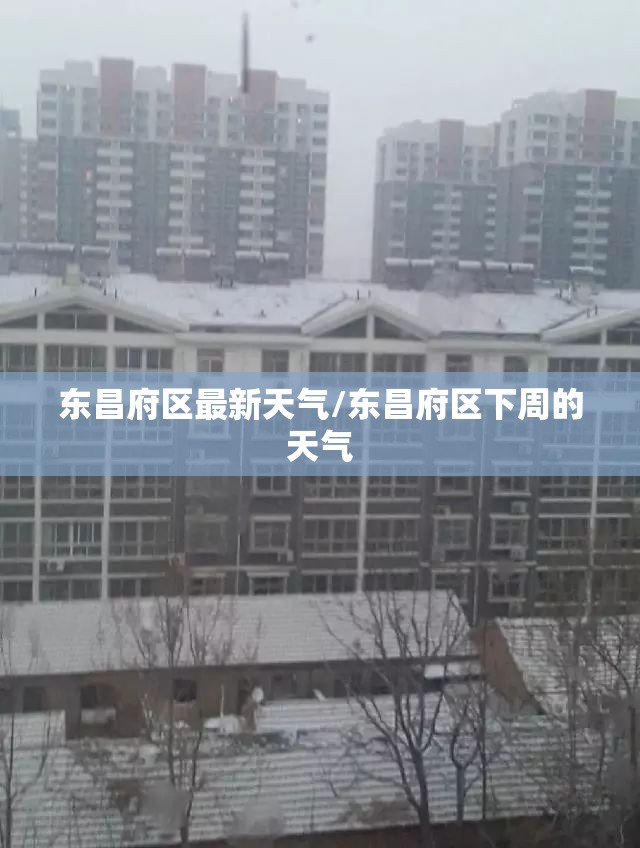 东昌府区最新天气/东昌府区下周的天气 东昌府区最新天气/东昌府区下周的天气
