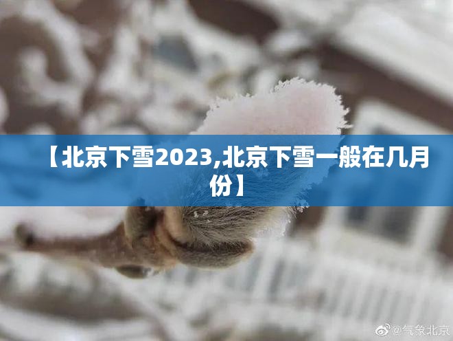 【北京下雪2023,北京下雪一般在几月份】