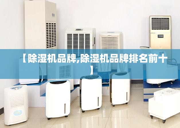 【除湿机品牌,除湿机品牌排名前十】