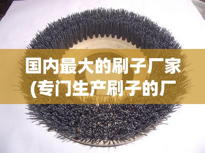 国内最大的刷子厂家(专门生产刷子的厂家)