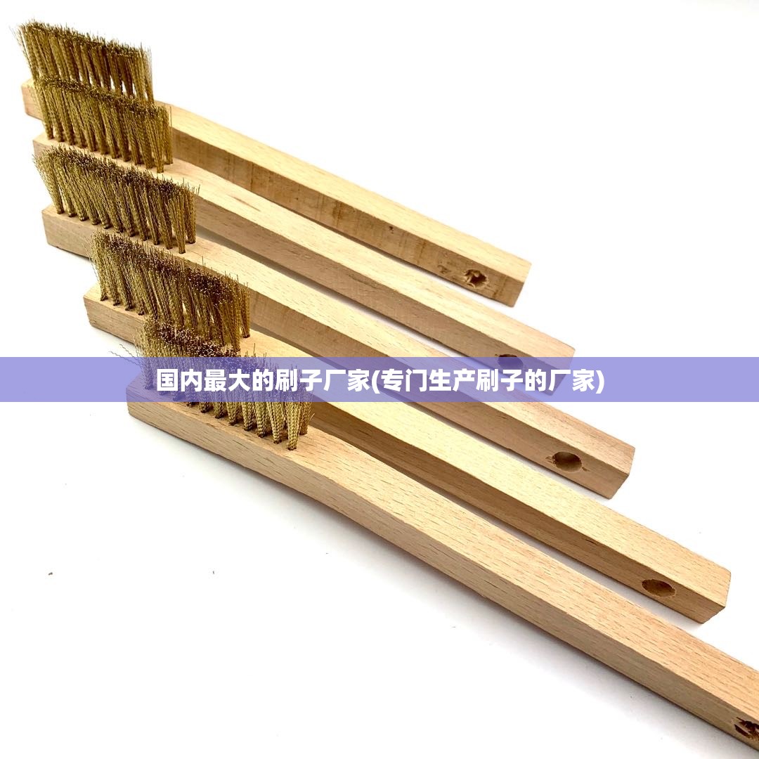 国内最大的刷子厂家(专门生产刷子的厂家)