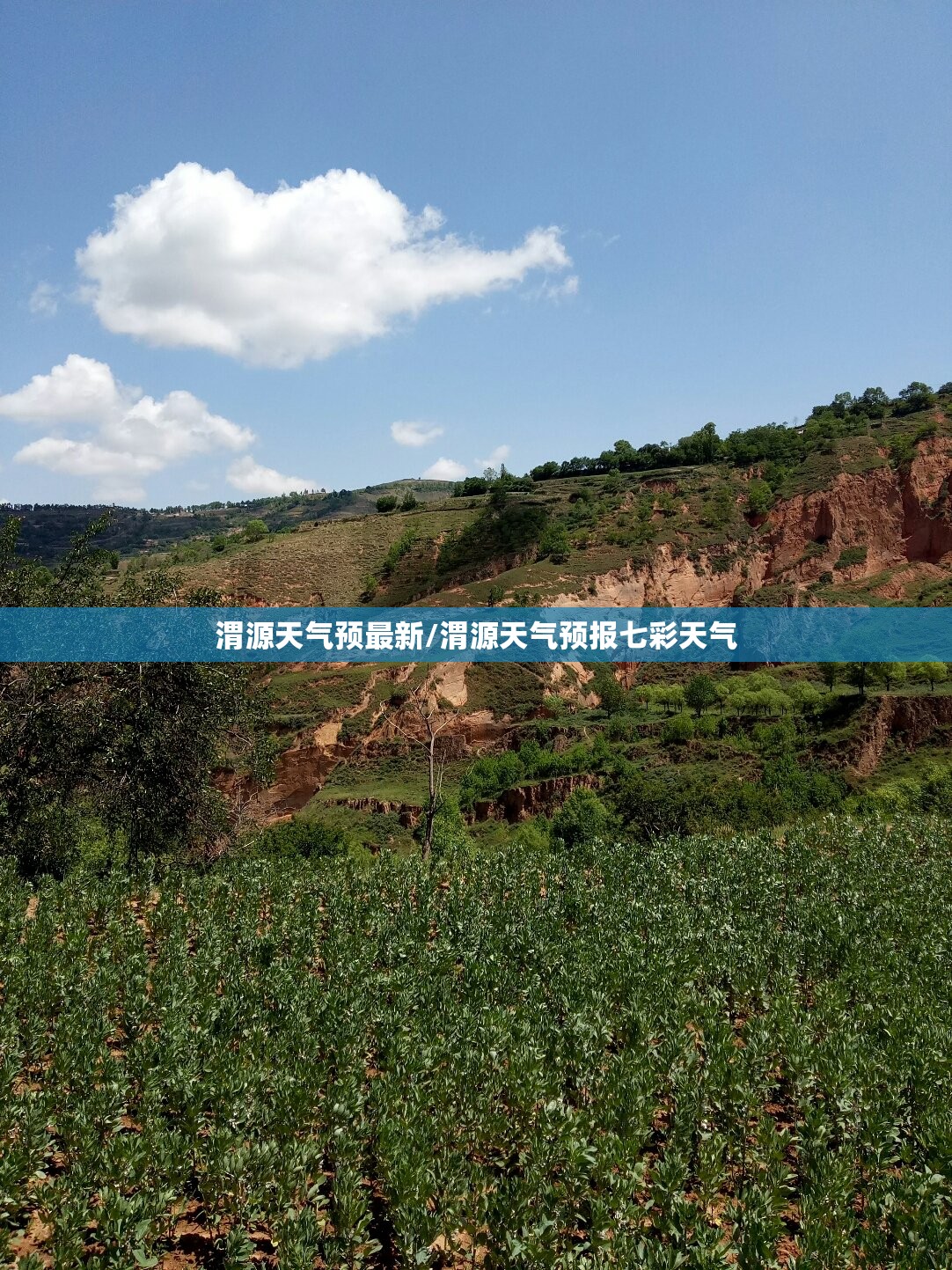 渭源天气预最新/渭源天气预报七彩天气