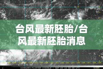 台风最新胚胎/台风最新胚胎消息 台风最新胚胎/台风最新胚胎消息
