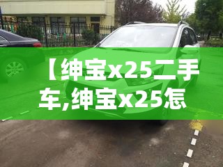 【绅宝x25二手车,绅宝x25怎么样】