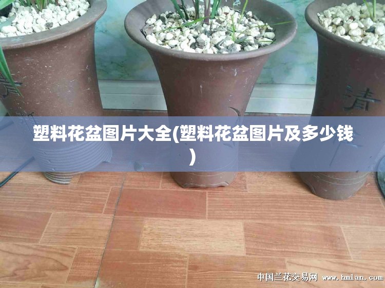 吉利熊猫suv/吉利熊猫落地价2025款