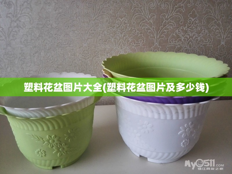塑料花盆图片大全(塑料花盆图片及多少钱)